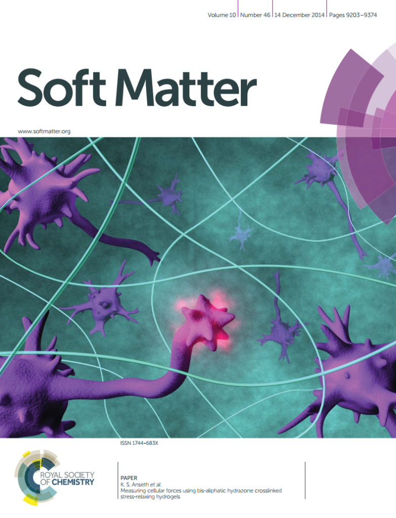 McKinnon Soft Matter cover
