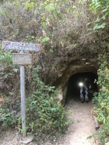 exploring the mine