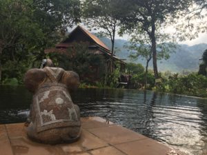 Elephant swimming pool