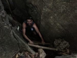 Ladder into jungle cave