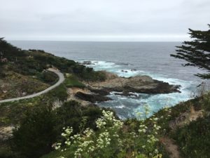 Big Sur coastline 1