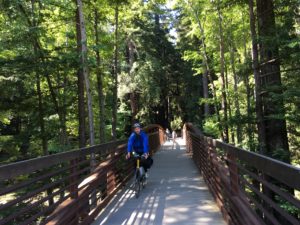 Crossing the bridge