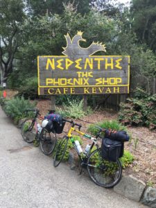 Made it to Nepenthe